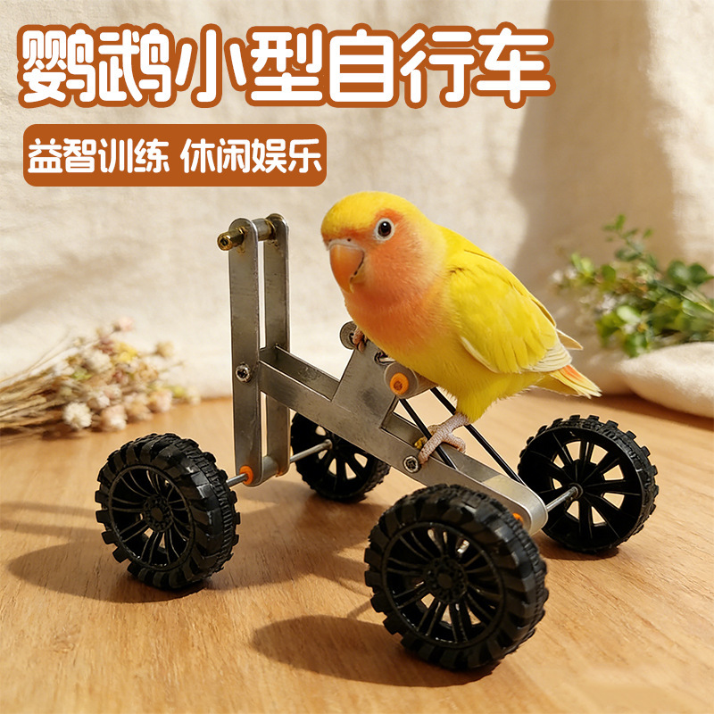 Parrot Bicycle, Small Bike for Birds, Bird Balance Bike, Educational Training Toy, Lovebird Cockatiel, Cross-Border Shipping Parrot Bicycle, Small Bike for Birds, Bird Balance Bike, Educational Training Toy, Lovebird Cockatiel, Cross-Border Shipping