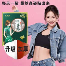艾草贴 艾草纤姿贴 懒人艾草轻姿贴美腰贴修身贴艾灸贴纤姿