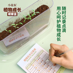 Flower Farmer Plant Observation Box Children Transparent Student Planting Cup Brain-Teasing Educational Toy Vegetable Fruit Root System Flower