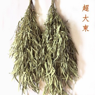 Millet Fruit Leaf Dried Flower Eugali Leaf Eugali Fruit Zombie Fruit Eucalyptus Leaf