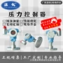 定制压力防爆开关控制器