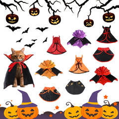 Zは、さまざまなハロウィーンの魔法使いのマントセット、ペットの犬、猫の帽子、アクセサリー、新しいプリントをまとめました。