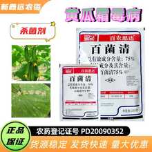 r˼_75%پ׷S˪ùrșƷ