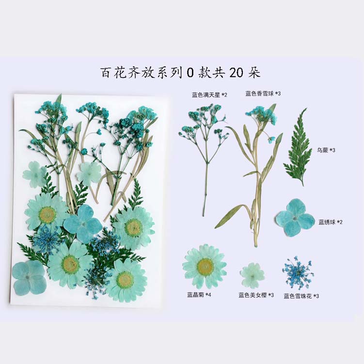 Paquete de material en relieve jardín de infantes en relieve DIY marcador epoxi flor seca caja del teléfono en relieve planta muestra