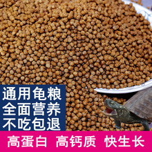 Z400gbСϰ{ZˮZʳ_ڼZ