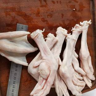 12��15��һ�����Z�_�ʵ��Z�N���Z�ƴ��Zצ�o��Ѫ�o����