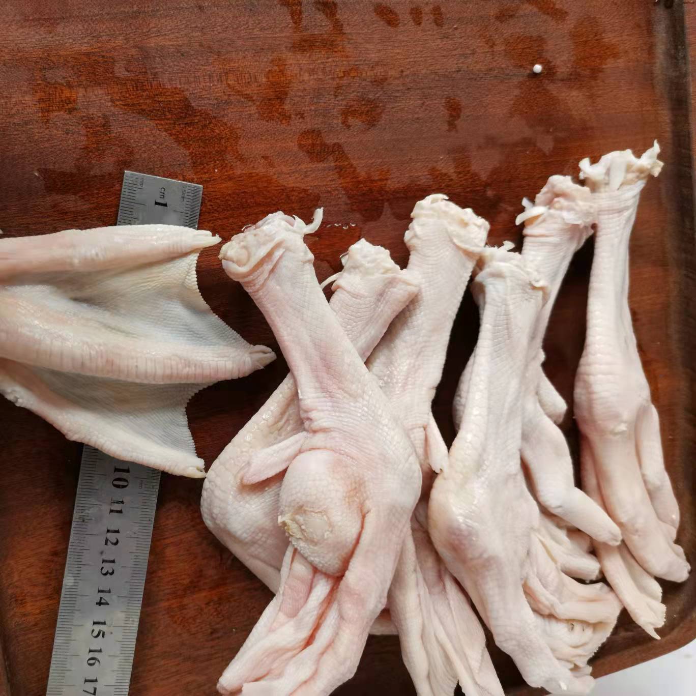 10至14个一公斤鹅脚朗德鹅种大鹅掌大鹅爪无淤血无断掌