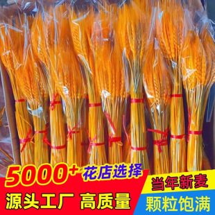 ��Ȼ�S������ɻ��������������������С���͏d�[�O�b����l�[��