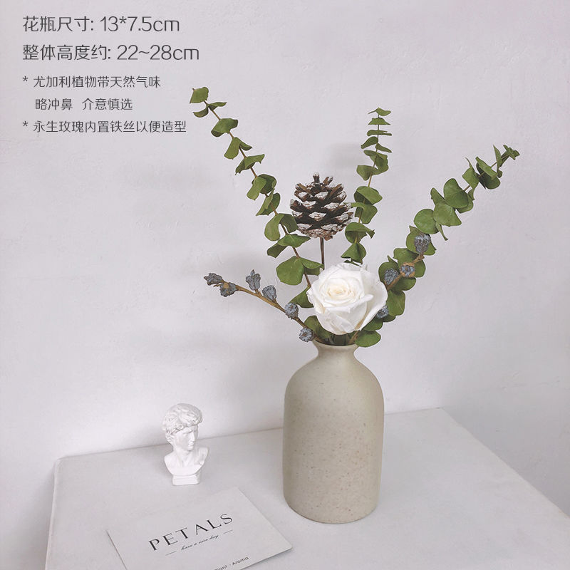 インシンプルな粗いセラミックドライフラワー花瓶装飾品忘れな草ユーカリの葉ローズフラワーアレンジメント北欧家の装飾|undefined