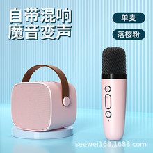 便携式 蓝牙音箱家用无线k歌音响话筒麦克风户外唱歌小型家庭ktv