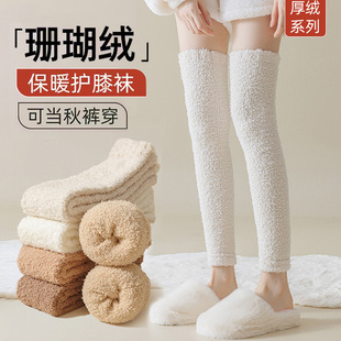 Over-the-knee socks women's autumn and winter coral fleece leggings socks fleece-lined thick warm knee socks leg cover sleep stockings