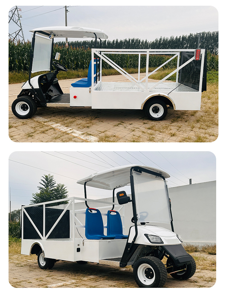 Golf Cart Manufacturer Foreign Trade Export Van Hydraulic Tailboard Transfer Vehicle Electric Sightseeing Vehicle 2-Seater