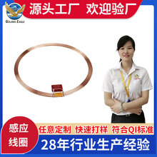 �S�ҹ�����ƽ늙C��Ȧ���lIC�Б�늸о�Ȧ��о�R�_�����ճ��Ȧ