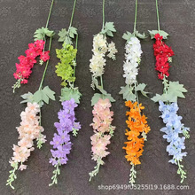 ���滨2��С�w���c�b��ķ����L���ӾƵ��Y�廨�Ų��û���