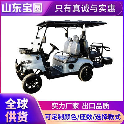 Elektrikli qolf avtomobilləri Carts for Tourist Attractions
