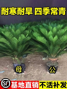 �F������С������辰�K�F�_����ĸһ���T�ڿ͏d�҃ȾGֲ���Bֲ��