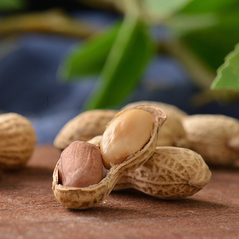 Small pearl peanuts 500g garlic flavor bagged shelled peanuts to go with wine peanut snacks nuts roasted seeds and nuts wholesale