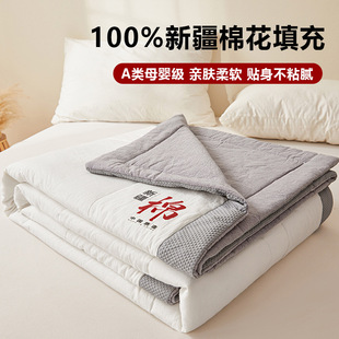 Class a 100 Xinjiang Cotton Summer Quilt Air-Conditioned Quilt 2025 Summer Single Summer Cool Quilt Double Quilt Cool and Breathable