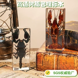 树脂工艺品;标本;工艺礼品项目