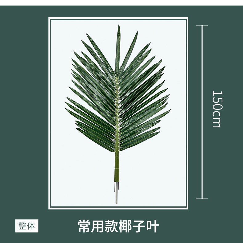 详情 (5).jpg