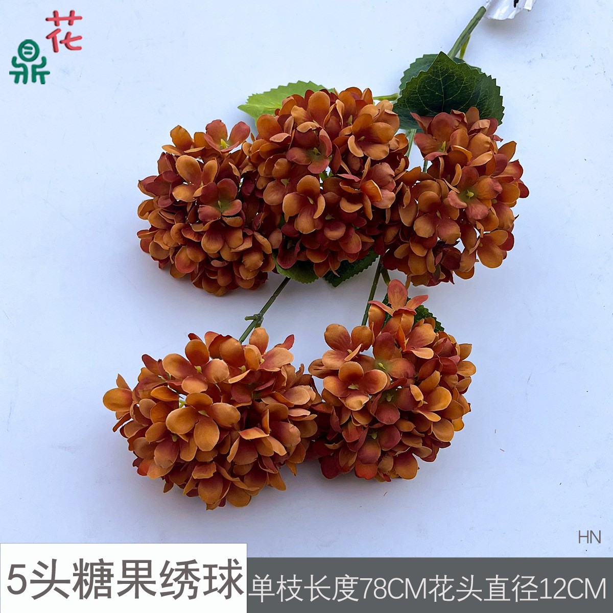 5구 캔디 수국 HN 카라멜 색상 잎 없음