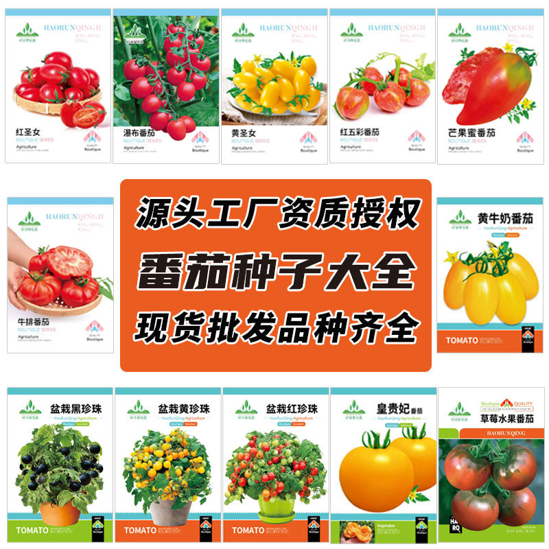源头工厂批发番茄种子大全西红柿种籽红黑黄圣女果盆栽小水果籽