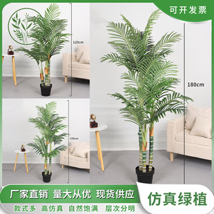 �W�t�������쾰��������ؙ�������҃ȿ͏d�b����ü٘��쾰