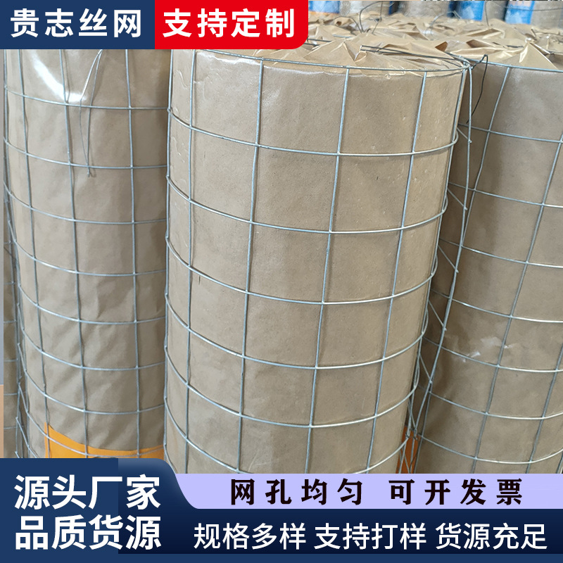 养鸡鸭热镀锌铁丝网育苗卷圈地养殖荷兰玉米钢丝网网格围栏