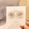 Summer fashionable earrings, zirconium, crystal, factory direct supply, internet celebrity