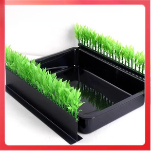 �������L���Gɫ�o����ʳ���r�i���бP������b�Ʒ���ϲݵ���չʾ