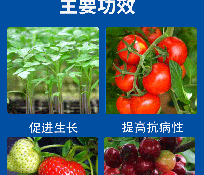 硝酸铵钙_04