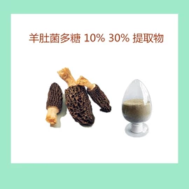 工业植物提取;植物提取物