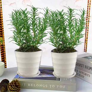 �Ե������Դ�С�����r��ʳ�����ֲ��ţ���������㱡�����K�_���~