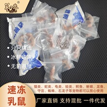 小白鼠爬宠物饲料规格齐红皮粉皮白霜亚成新鲜乳鼠开口料独立包装