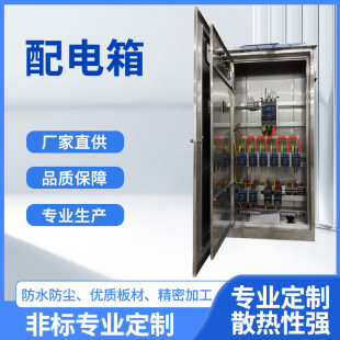 Factory Direct Supply Equipment Power Switch Cabinet with Power Control Cabinet Stainless Steel Metering Electrical Cabinet Dual Power Switch Cabinet