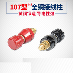Pure copper 107 all-copper terminal for high-current inverter connection head, welding machine connection terminal M5x3