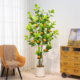 ����Gɫֲ��ȹ���߶��p�ݼ�ֲ���҃ȿ͏d������������b[�