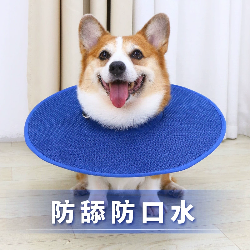 Собака Elizabeth Circle Soft Circle Собака анти-облизывание