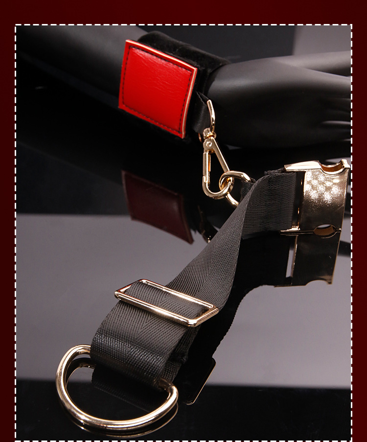 Jiuai Car Binding Restraint Strap for Couples, Black Metal and Webbing — detail image 18