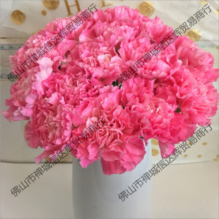 �r�����ֱ�l����ܰ����ͬ�����f����ˮ�B������������ĸ�H���Y��