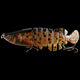 Hard Swimbaits Jointed Swimbait Fresh Water Bass Swimbait Tackle Gear