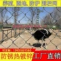 养牛羊镀锌养殖网