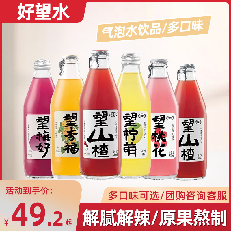 好望水望山楂杨梅果汁饮料气泡水汽水梅好柠萌杏福碳酸300ml整箱