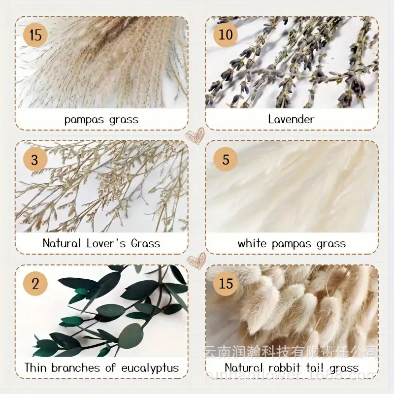 조합 50-1-(상자 없음)