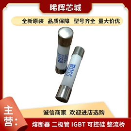 普通晶闸管;IGBT模块;其他二极管