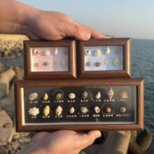 ��Ȼؐ������diy�����˱��쮋�ֹ�ˇƷ�[�����Ҿӄ����b���Ʒ