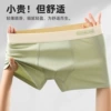 836 light green