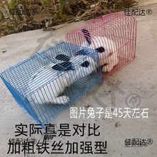 ���ӻ\���\ݔ����y��С�û\С���\�Ӵ󷽻\�����W�^�\��Ȧ