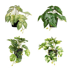 GֲС G}~ع~ֲ ֲٻ~辰