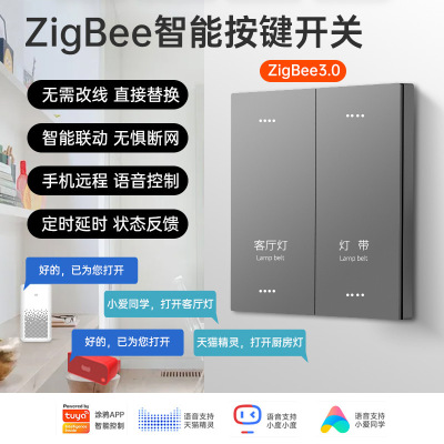 Graffiti zigbee intelligence switch Tmall Elf Little Love Xiaodu Voice 86 control panel Hotel lights